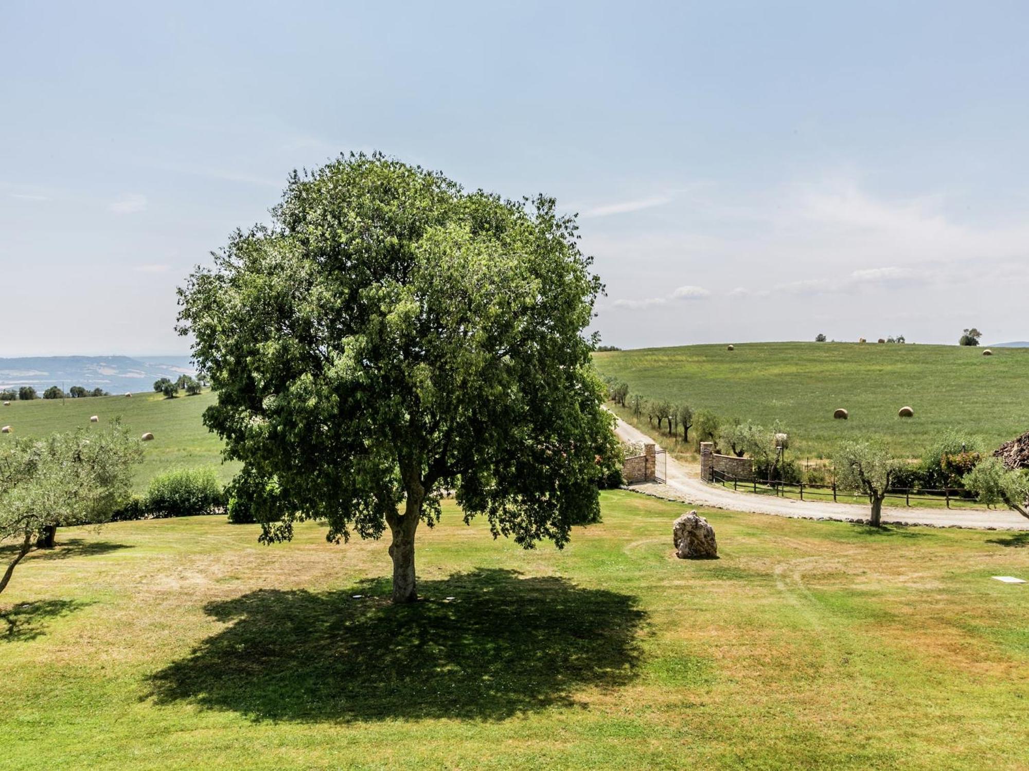 Elegant Apartment Only 1 Hour From Rome Narni Exterior photo
